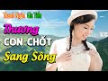 Lk Rumba Phụ Tình - Hờn Trách Con Đò Mở Thật To Không Sợ Hư Loa - Thanh Ngân, Gia Tiến