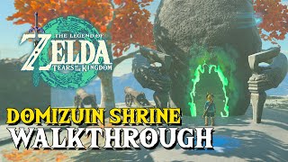 Zelda Tears Of The Kingdom Domizuin Shrine Walkthrough