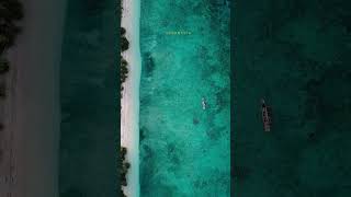 Most beautiful island in Indonesia - Pulau Kenawa | #shorts