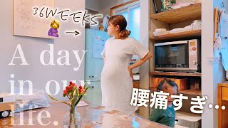 【密着】臨月妊婦のリアルな夕ご飯作り!!  今週のお花も届きました！🚚🌷　A day  in our life 【bloomee】