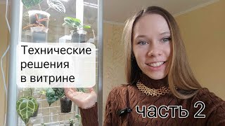 Строим ВИТРИНУ для тропический растений | Часть 2 + конкурс