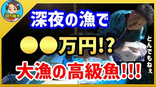 【漁師まさと】イカを狙ったら高級魚が爆漁！嬉しい誤算に歓喜【釣り 瀬戸内 漁師  切り抜き fish fishing fisherman SETOUCHI 船 給料】