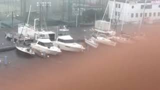 Typhoon 2018/09-04めっちゃ揺れている。怖い 台風がありました