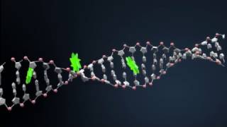 Revolution in Nucleotide Triphosphate Delivery Across Cell Membranes