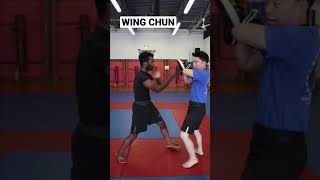 How to Train Wing Chun Striking