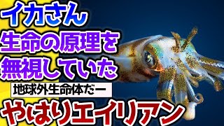 【2ch動物スレ】イカとかいう生物がエイリアンすぎる【なんj】 #生き物 #2ch