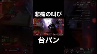 動けなくなり発狂する男【Apex Legends】