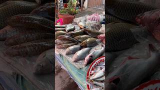 ปลาสดๆตัวใหญ่ๆตลาดนัดไทยลาวท่าอุเทน #streetfood #ตลาด #ปลา #ปลาสด #ตลาดสด #ตลาดลาว #fish #ท่าอุเทน