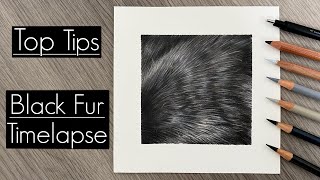 DRAWING REALISTIC BLACK FUR WITH COLOURED PENCILS | TOP TIPS | TIMELAPSE