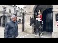 king s guard horses return with new rules – see new strict safety measures