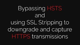 Bypassing HSTS and SSL Stripping (on HTTPS)