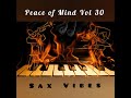 Dj Ace - Peace Of Mind Vol 30 (sax Vibes Slow Jam Mix)