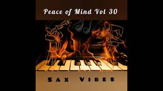 DJ Ace - Peace of Mind Vol 30 (Sax Vibes Slow Jam Mix)
