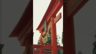 冬日神域 御座石神社 雪中的神秘与静谧 日本旅游 雪景 雪景美如画 治愈系风景  #京都老司机 #Tokyo #日本地接 #日本司导 #Guide