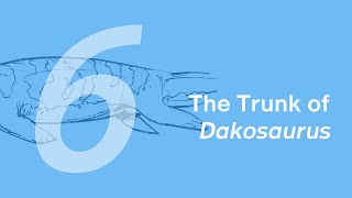 Paulwin the Dakosaurus 6: The Trunk | Learn to Draw Marine Animals with ZHAO Chuang