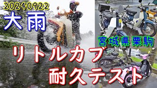 【宮城カブ】カッパ着てもずぶ濡れ☔️濃い目のカブミ 雨でもやんのかよ!!💢