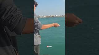 Fishing : Fishing Line Is Harmony Sea #fishing #मछली #2023 #shorts #traditionalfishing #fisherman