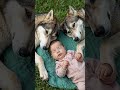 wolf and baby sleeping together