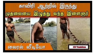 திருச்சி முக்கொம்பு காவேரி ஆற்றில் இருந்து முதலையை இழுத்து வந்த இளைஞர்.. வைரல் வீடியோ |  Trichy news