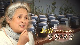 전통장의 비밀