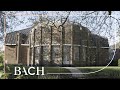 Bach - WTC II Prelude and fugue no. 2 in C minor BWV 871 | Netherlands Bach Society