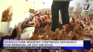 Agriculture Ministry Continues Advocacy for Removal of GCT on Eggs | TVJ Business Day