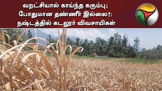 வறட்சியால் காய்ந்த கரும்பு; போதுமான தண்ணீர் இல்லை!: நஷ்டத்தில் கடலூர் விவசாயிகள் | #TNFarmers