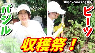 『家庭菜園』種から育てたビーツとバジルの収穫！成果はいかに！？Happycooking#49【ガーデニング】【収穫】【ビーツ】【スーパーフード】