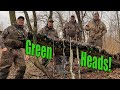 4 Man Limit of Mallards! | Our Best Duck Hunt Ever Caught On Video