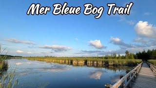 Mer Bleue Bog Trail - Ottawa, ON