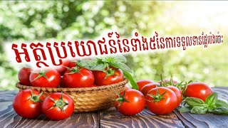 អត្ថប្រយោជន៍ទាំង៥នៃការទទួលទានផ្លែប៉េងប៉ោះ