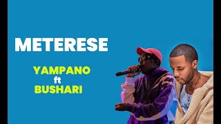 Meterese | I want to kiss meterese - Yampano ft. Bushali (Official Lyrics)