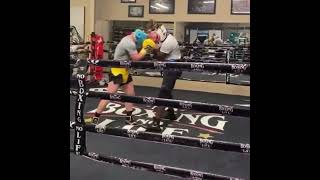 CANELO ALVAREZ EXCHANGES POWER SHOTS WHILE SPARRING WITH RONALD ELLIS