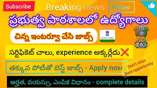 ప్రభుత్వ పాఠశాలలో ఉద్యోగాలు/ central govt jobs/No exam/free jobs search/telugu jobs/latest jobs 2025