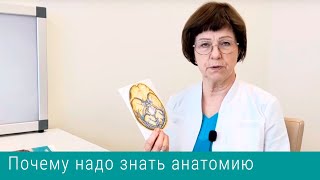 Почему я так подробно показываю анатомию и механизмы происхождения симптомов при шуме в ушах