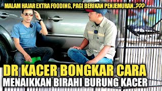 DR KACER BONGKAR CARA MENAIKAN B!RAH! KACER | MBAGONG CHANNEL | WANTO BARAK