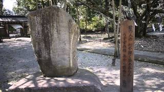 会津五桜　伊佐須美神社の薄墨桜　00136