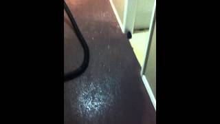 Apartment Leak Video