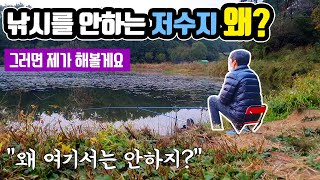 저수지 두 곳 중 낚시를 아무도 안 하는 곳에서 붕어낚시 | 붕어가 나올지 궁금해요