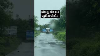 ચોમાસુ, ગીર અને પ્રકૃતિનો ખોળો..! | Monsoon Vaat Gujarati | Gir #vaatgujarati