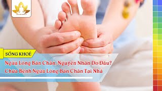 Ngứa Lòng Bàn Chân, Nguyên Nhân Do Đâu? Chữa Bệnh Ngứa Lòng Bàn Chân Tại Nhà