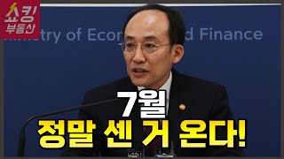 정부가 작정한 것 같습니다.