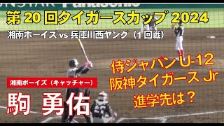 【タイガースカップ2024】駒 勇佑｜湖南ボーイズの逸材！進学先はどこ？阪神ジュニア＆侍ジャパンU12で輝く注目選手