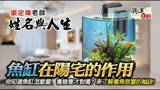 你知道魚缸要怎麼擺、要養多少隻才正確嗎？帶你了解養魚致富的秘訣！全球風水易經姓名學大師張定瑋