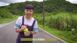 PiGwa【公益】|  一日瑞芳動物之家志工 // TSPCA台灣防止虐待動物協會