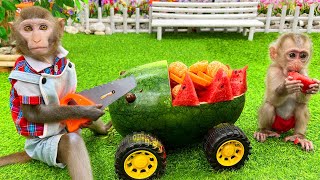 Baby monkey Bim Bim and Obi harvest fruit farm and enjoy it on new watermelon cart