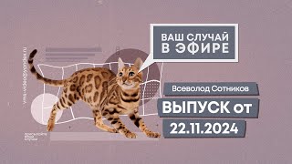 Ваш случай в эфире. Выпуск от 22.11.2024