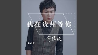 我在贵州等你 (剪辑版)