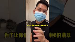 杨公子带你看5亿的缅甸翡翠，你敢信吗？