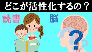 【驚愕】読書をすると脳のどの領域が活性化するの？　大人と子供で違いはあるの？　~本を読む事は圧倒的な利点があります！！~